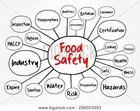 Food Safety Mind Map Flowchart, Concept For Presentations And Reports