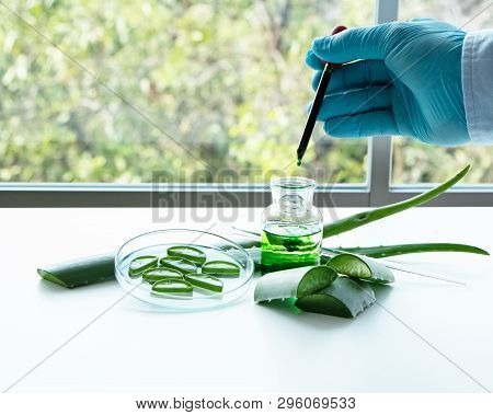 The Scentist Dropping Nature Organic Extract Lipuid In To Glass Bottle,,aromatic Essential Research 