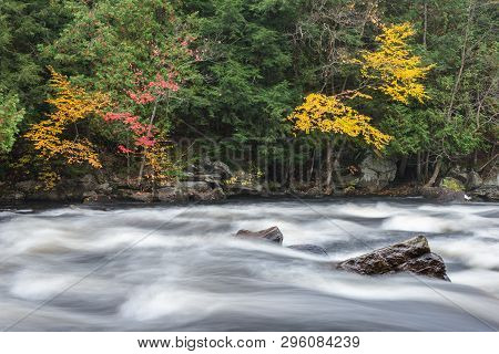 Colourful Fall Forest On A Riverside Of Frozen-motion Oxtongue River, Muskoka, Ontario