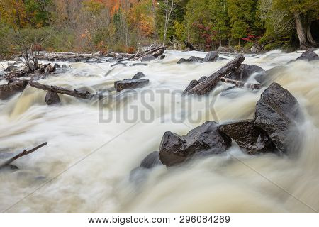 Close Up View Of Black Rocks And Dead Trees In Oxtongue River, Muskoka, Canada