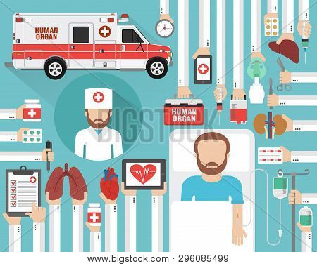 Human Organ Transplatation Flat Design With Doctor, Patient And Human Organ Medical Car.vector Illus