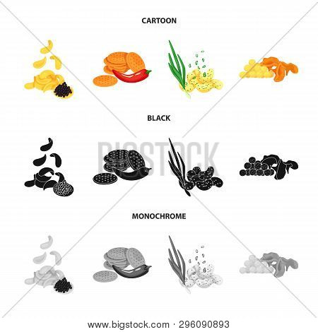 Vector Illustration Of Taste And Seasonin Icon. Collection Of Taste And Organic   Stock Vector Illus