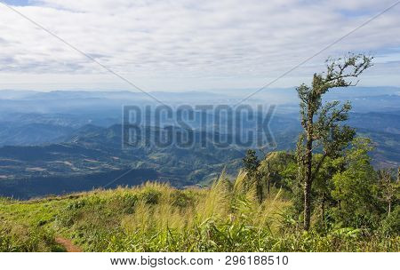 Tree On Mountain With Grass Field Sky Cloud At Phu Langka National Park Phayao Thailand. Landscape T