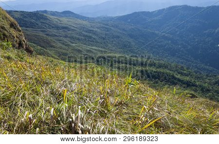 Grass Field At Phu Lanka Mountain National Park Phayao Thailand Travel Zoom. Yellow Grass Field On P