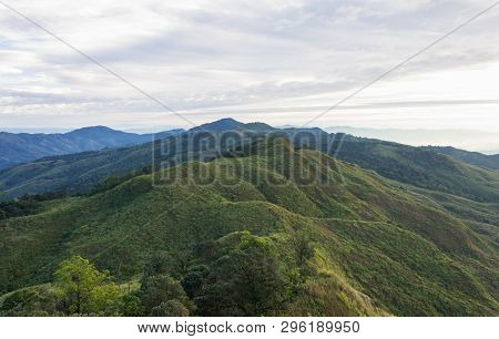 Landscape Phu Langka Mountain National Park View Point Phayao Thailand Travel With Tree. Green Tree 