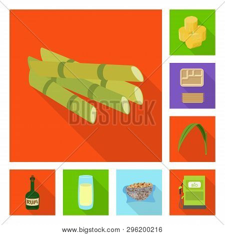 Isolated Object Of Plant And Plantation Sign. Collection Of Plant And Agriculture  Stock Symbol For 