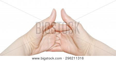 Two Womens Hands Of The Same Person, Interlock Fingers On White Background. Clasped Hands, Inner Sid