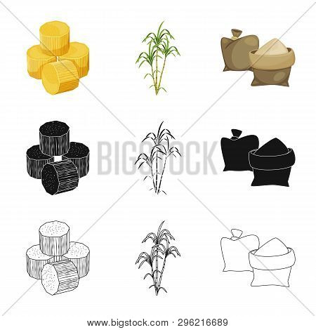 Vector Illustration Of Farm And Agriculture  Logo. Collection Of Farm And Technology Vector Icon For