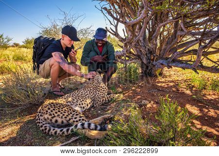 Mariental, Namibia - March 25, 2019 - Keeper And A Tourist Petting A Cheetah