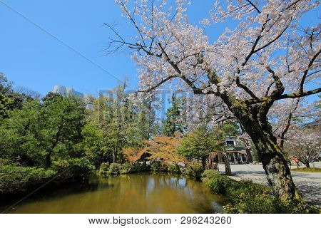 Japanese Traditional Garden Oyama Shrine Kanazawa Japan