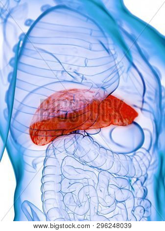 3d rendered medically accurate illustration of a diseased liver