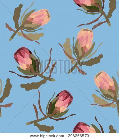 Pink Protea Realistic Vector Illustration.protea. Tropical King Protea Flower In Blossom, Hand Drawn