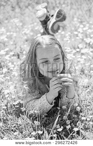 Sensitivity Concept. Child Enjoy Spring Sunny Weather While Lying At Meadow With Daisy Flowers. Girl