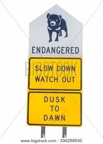 A Tasmanian Devil Signboard In Tasmania, Australia.