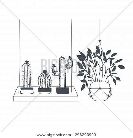 Cactus With  Potted On Shelf Isolated Icon Vector Illustration Design