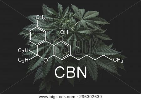 Cbn Formula, Cannabinoid . Medical Marijuana, Growing Marijuana, Hemp Industry, Despancery Business.