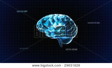 blau Kristall Gehirn timecode