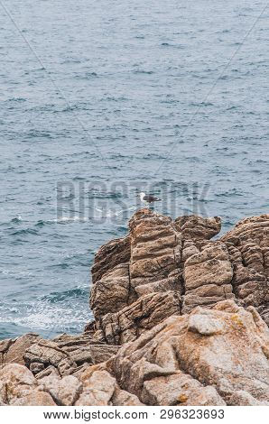 Beach And Cliff In Quiberon In The Morbihan In France, On The Peninsula Of Quiberon