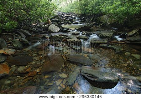 Trailside Creek In The Great Smoky Mountains National Park, Tennessee, In Early Summer.