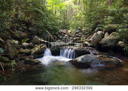 Trailside Creek In The Great Smoky Mountains National Park, Tennessee, In Early Summer.