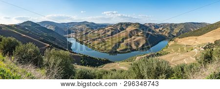 View Of The Terraced Vineyards In The Douro Valley And River Near The Village Of Pinhao, Portugal. C