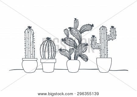 Cactus With Potted Isolated Icon Vector Illustration Design