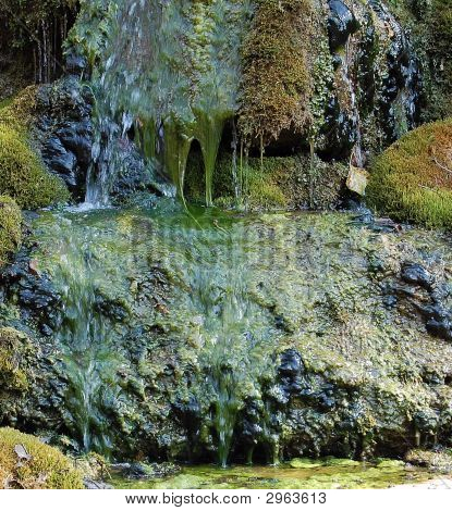 Wasser green