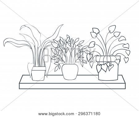 Houseplants With Potted On Shelf Isolated Icon Vector Illustration Design