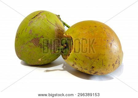 Coconut fruits - hard shell outer layer with jelly and water on the inside. Healthy organic super food.