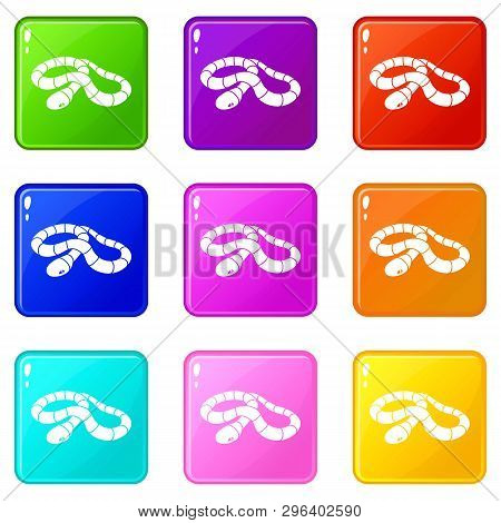 Red Milk Snake Icons Set 9 Color Collection Isolated On White For Any Design