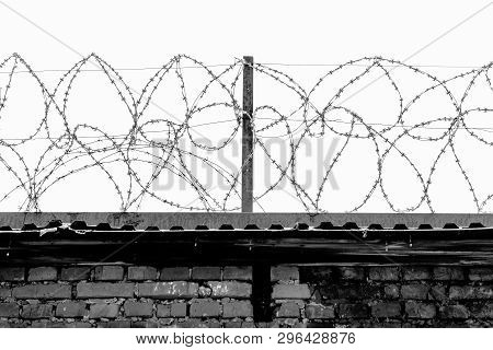 Steel Strands Of Rolled Barbed Wire On The Fence Of The Prison Against The Gray Sky