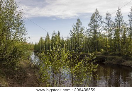 North River Flowing Across Green Forest. Spring. Before The Rain