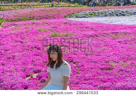 Saitama, Japan - Apr 21, 2018: View Of Pink Moss (shibazakura, Phlox Subulata) Flower At Hitsujiyama