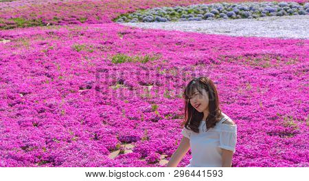Saitama, Japan - Apr 21, 2018: View Of Pink Moss (shibazakura, Phlox Subulata) Flower At Hitsujiyama
