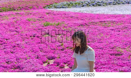 Saitama, Japan - Apr 21, 2018: View Of Pink Moss (shibazakura, Phlox Subulata) Flower At Hitsujiyama