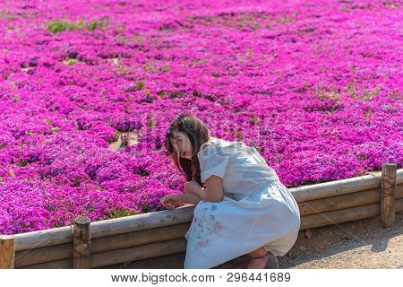 Saitama, Japan - Apr 21, 2018: View Of Pink Moss (shibazakura, Phlox Subulata) Flower At Hitsujiyama