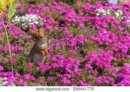 Saitama, Japan - Apr 21, 2018: View Of Pink Moss (shibazakura, Phlox Subulata) Flower At Hitsujiyama