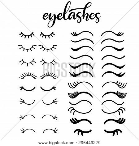 Lashes Lettering Vector Illustration For Beauty Salon, Fashion Blog, Logo, False Eyelashes Extension