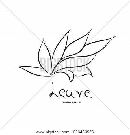 Leave Logo Vector,  Icon Design, Web Icon, Business Sign