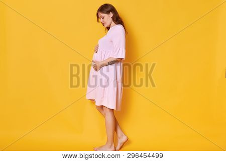Studio Portrait Of Beautiful Pregnant Woman With Drown Hair, In Pink Powder Dress, Embracing Belly. 