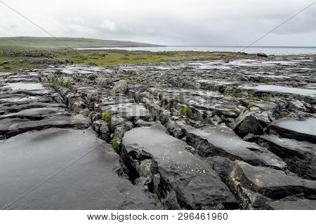 The Burren Region, Clare, Ireland. The Burren Measures 250 Square Kilometres And Is Enclosed Roughly