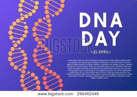 Neon Helix Of Human Dna Molecule. Dna Day Typography Poster. Science Concept Vector Illustration. Ea