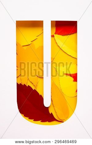 Letter U Cut From Paper With Paper Autumn Leaves