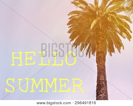 Tall Palm Tree With Beautiful Leaves Against The Sunset Sky, Vintage Filter With Discription Hello S