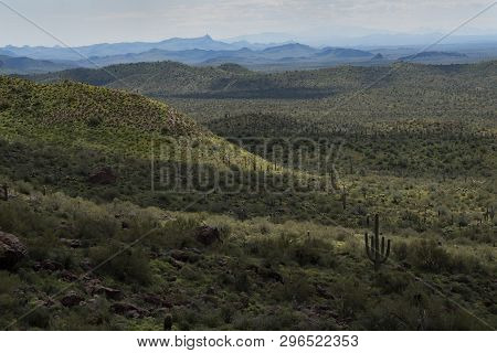 Valley Below The Hieroglyphic Trail, Superstition Mountains, Tonto National Forest, Arizona