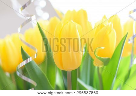 Yellow Tulips, Beautiful Bouquet Flowers Close-up With Blurred Background