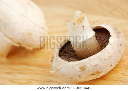 Champignions
