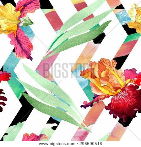 Red Bold Encounter Iris Floral Botanical Flowers. Watercolor Background Illustration Set. Seamless B
