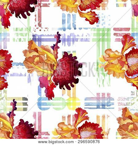 Red Bold Encounter Iris Floral Botanical Flowers. Watercolor Background Illustration Set. Seamless B