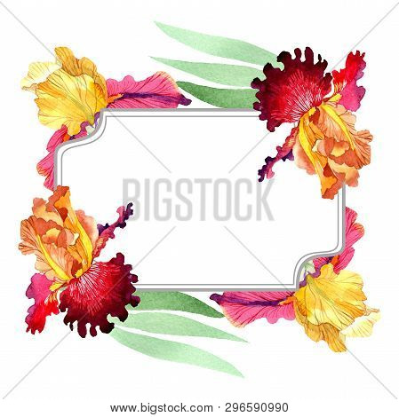 Red Bold Encounter Iris Floral Botanical Flowers. Watercolor Background Illustration Set. Frame Bord